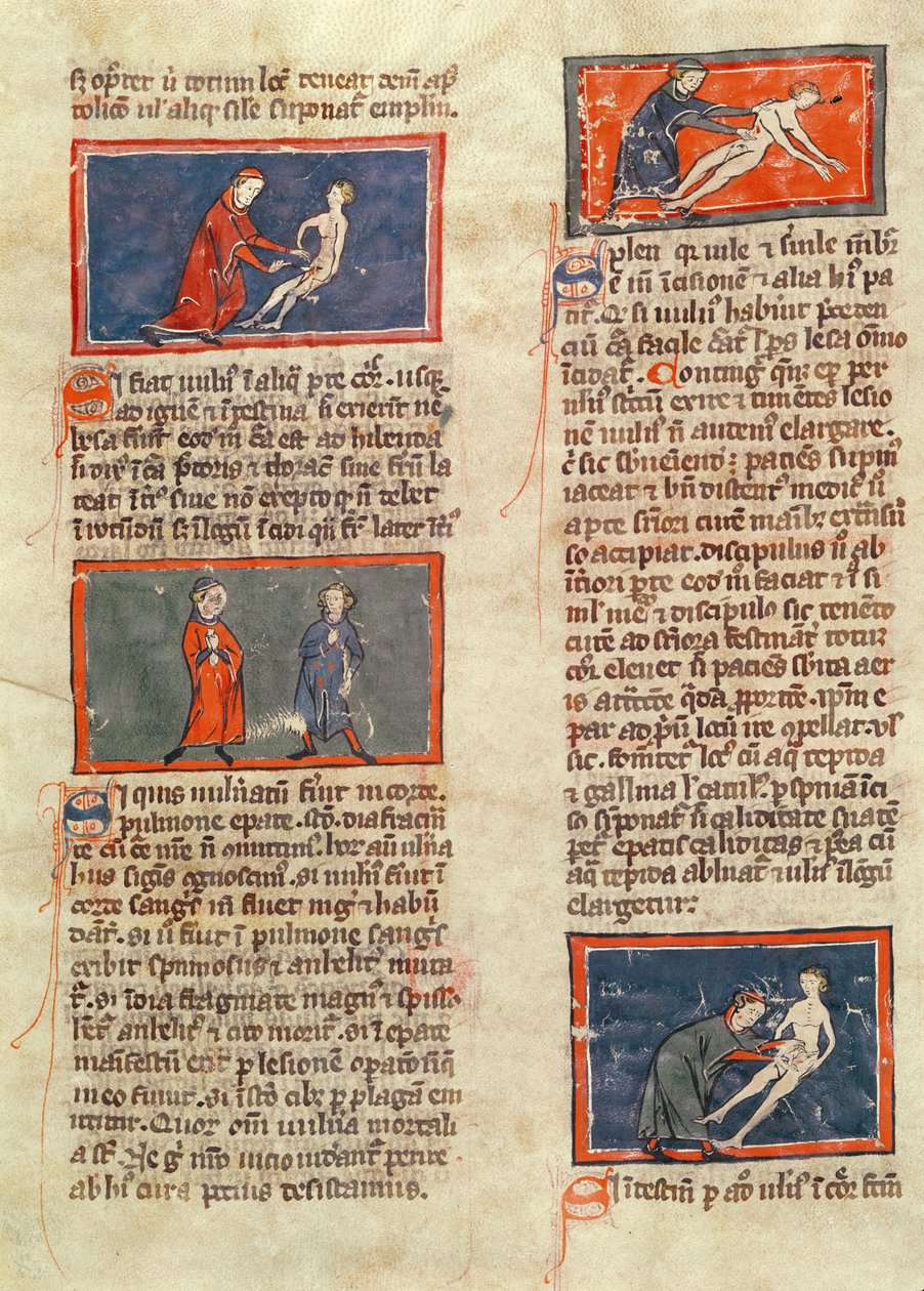 Ms H 89 fol.21v Anatomiske figurer, fra en udgave af 