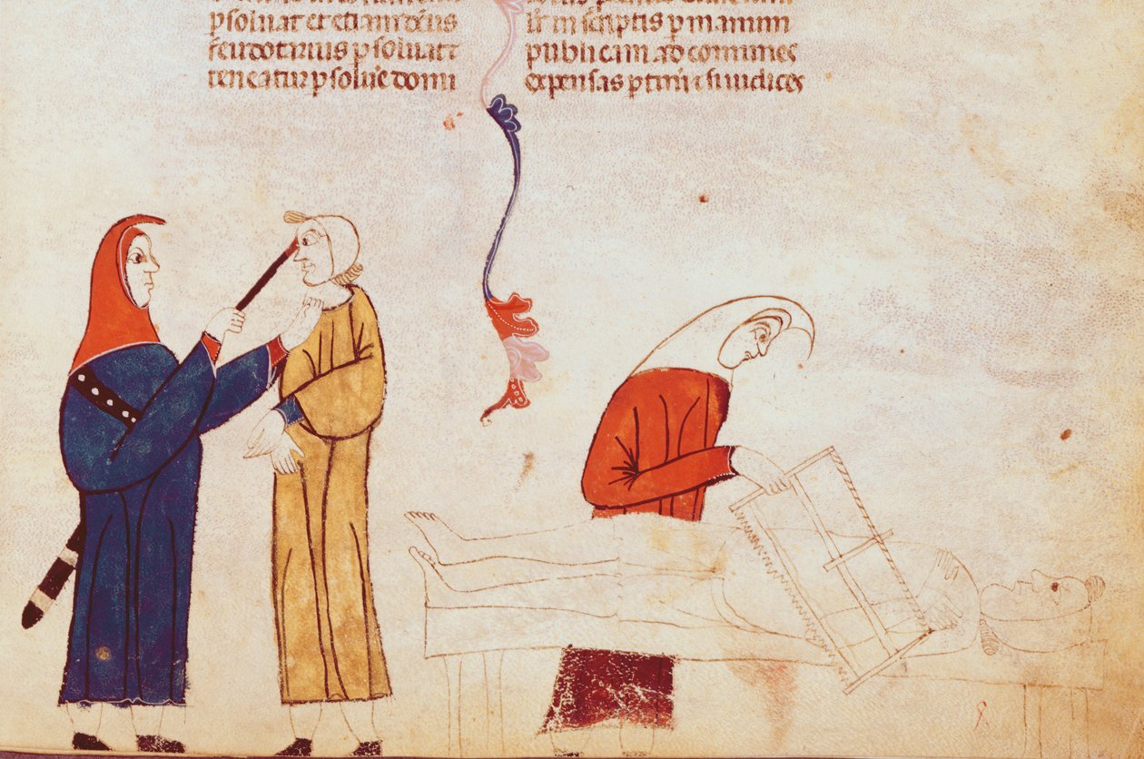 Ms Lat 9187 fol.24 Torturscene, fra Les Coutumes de Toulouse af French School