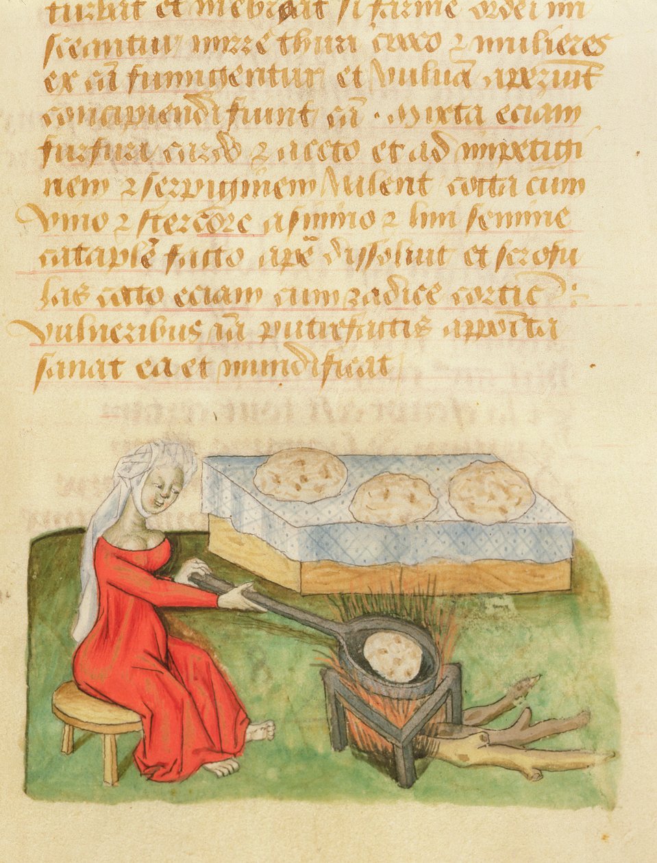 Frk. Tractatus de Herbis af Dioscorides, fol.142r Bageboller af French School