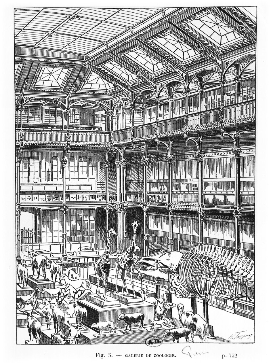 Naturhistorisk museum i Paris af French School