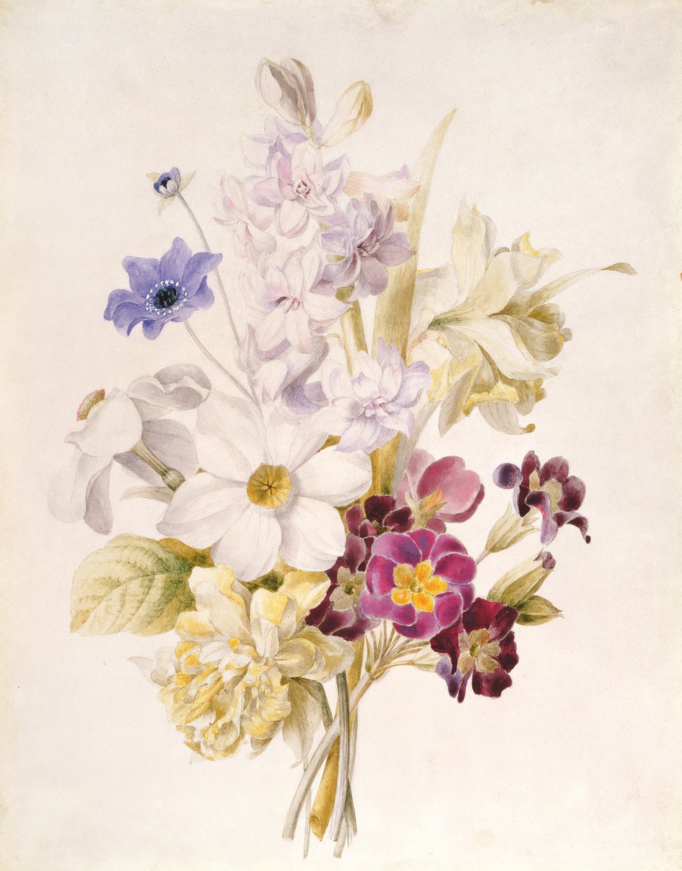 Narcissus og andre blomster, 1840 (wc på papir) af French School