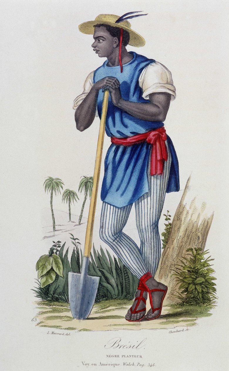 Negroplanter af Brasilien - i "" Bibliotheque Universelle des Voyages"" af Albert-Montémont, red. Armand-Aubree, Paris af French School