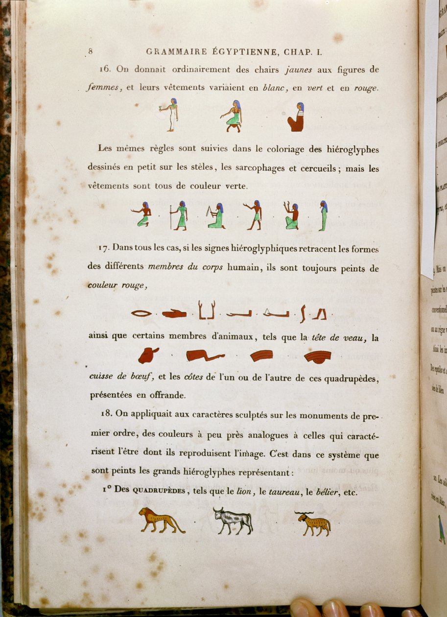 Noter om farvning af visse hieroglyffer, fra Grammaire Egyptienne af Jean Francois Champollion (1790-1832) 1836 af French School
