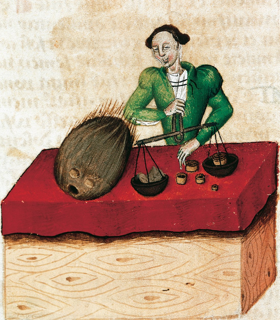 Muskatnødhandler, miniature fra Treatise on herbs, Frankrig 15. århundrede. af French School