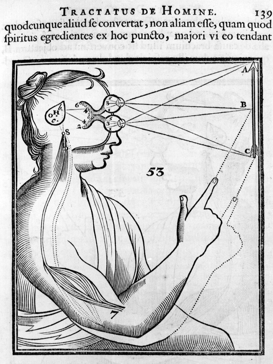 Oftalmologi: øjet og synet. Fra "Tractatus de Homine" af Rene Descartes af French School
