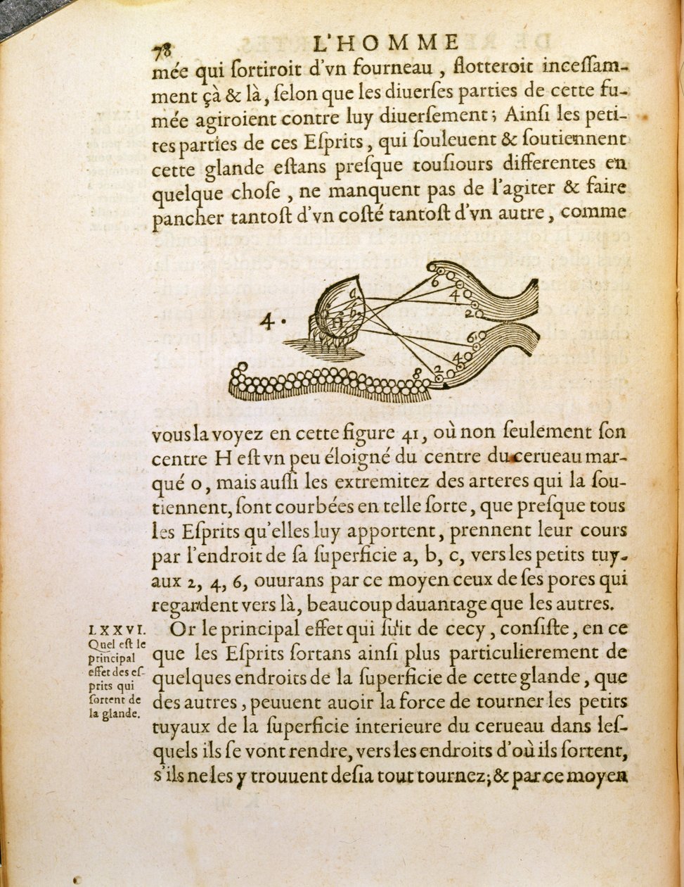 Optisk diagram, fra De Homine Figuris af Rene Descartes (1596-1650) udgivet i Haag, 1662 af French School