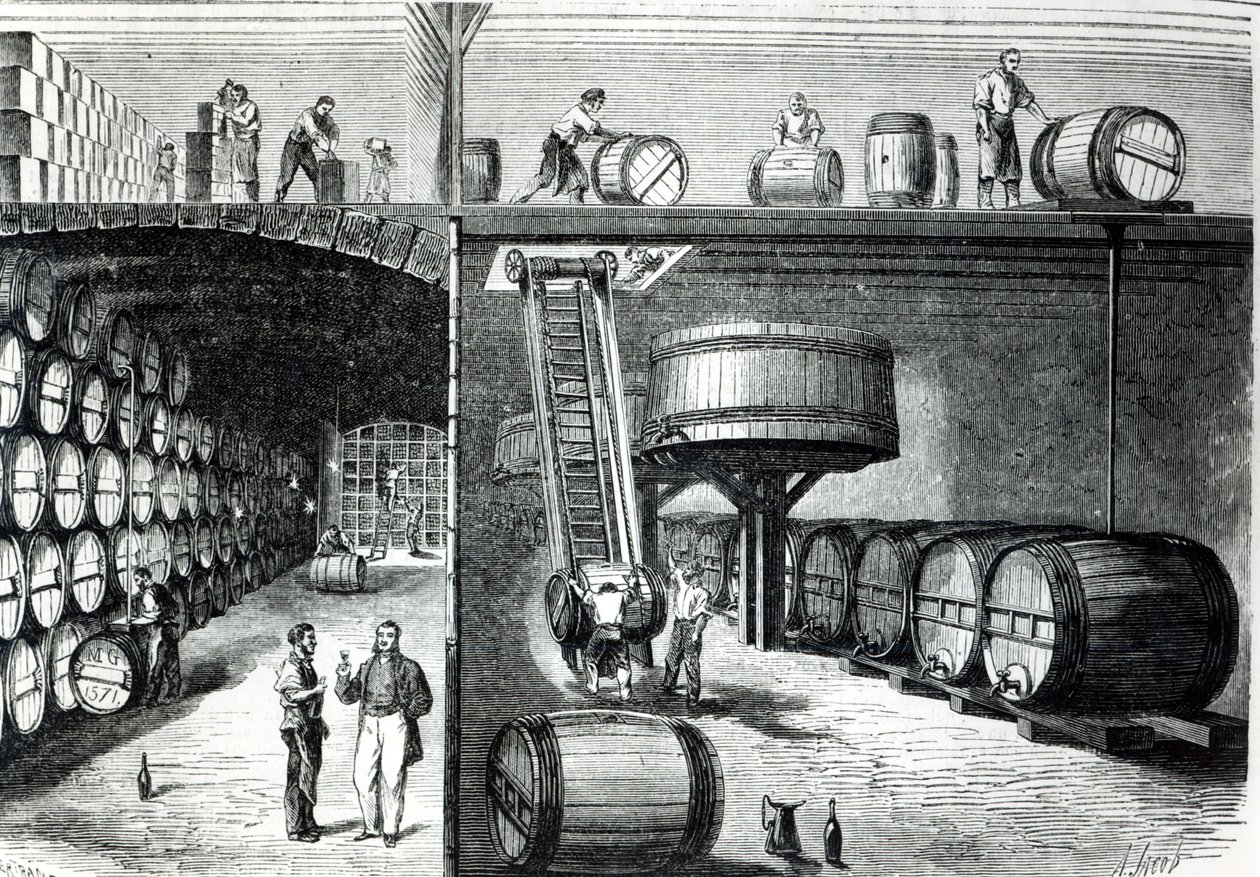 P. Morel og F. Souzac kældre og værksteder i Bordeaux fra Le Monde Illustre, 1864 af French School
