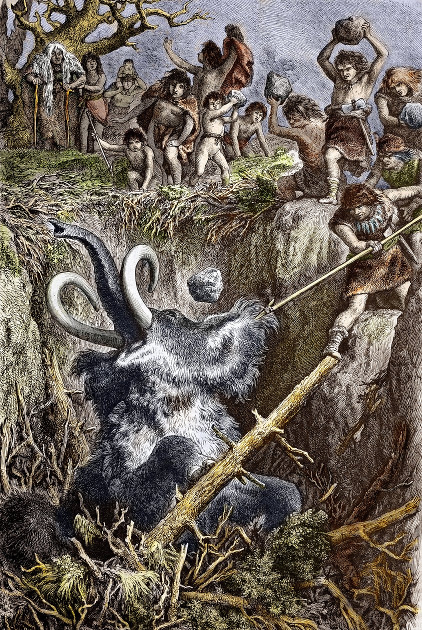 Paleolithic: mammutjagtscene, en stamme af forhistoriske mænd kaster sten mod et mammutfald i en pit (palæolitisk tid: europæiske hulemænd, der jager en mammut faldt i en pit) Gravering af det 19. århundrede Privat samling af French School