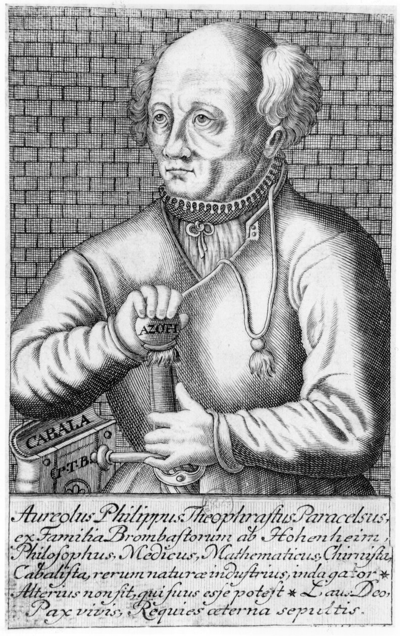Paracelse (1493-1541) af French School