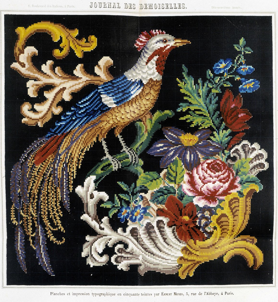 Mønster til korsstingsbroderi (paradisfugl) - i "" Journal des Demoiselles"" 1852. af French School