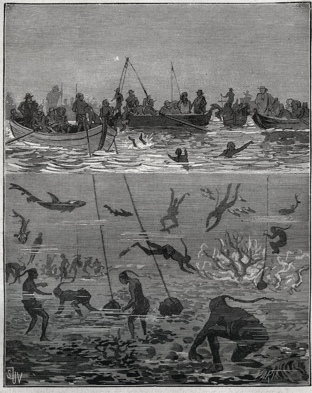Perlefersken på Ceylon (nuværende Sri Lanka) i det 19. århundrede. Indgravering fra 1885 i "" Les arts et metiers illustres"" af Adolphe BITARD. af French School