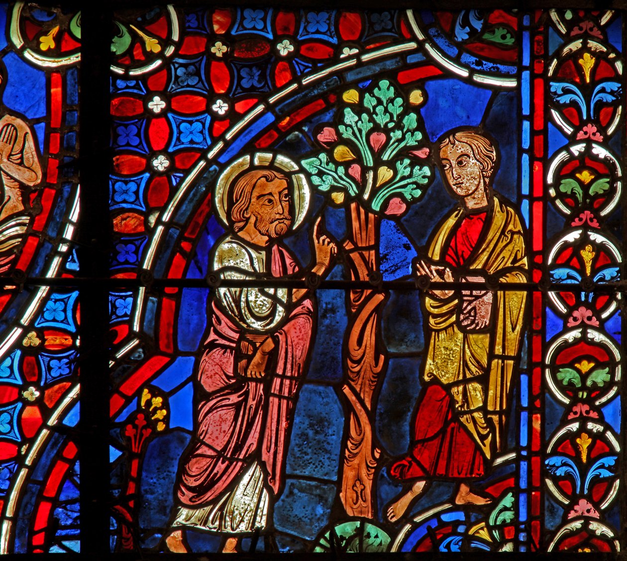 Philip, Nathaniel, figentræ (w0) af French School