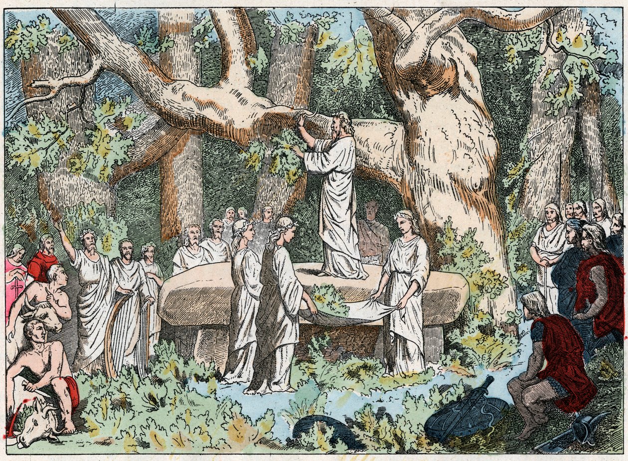 At plukke mistelten fra druiderne i Gallien, slutningen af det 19. århundrede (gravering) af French School