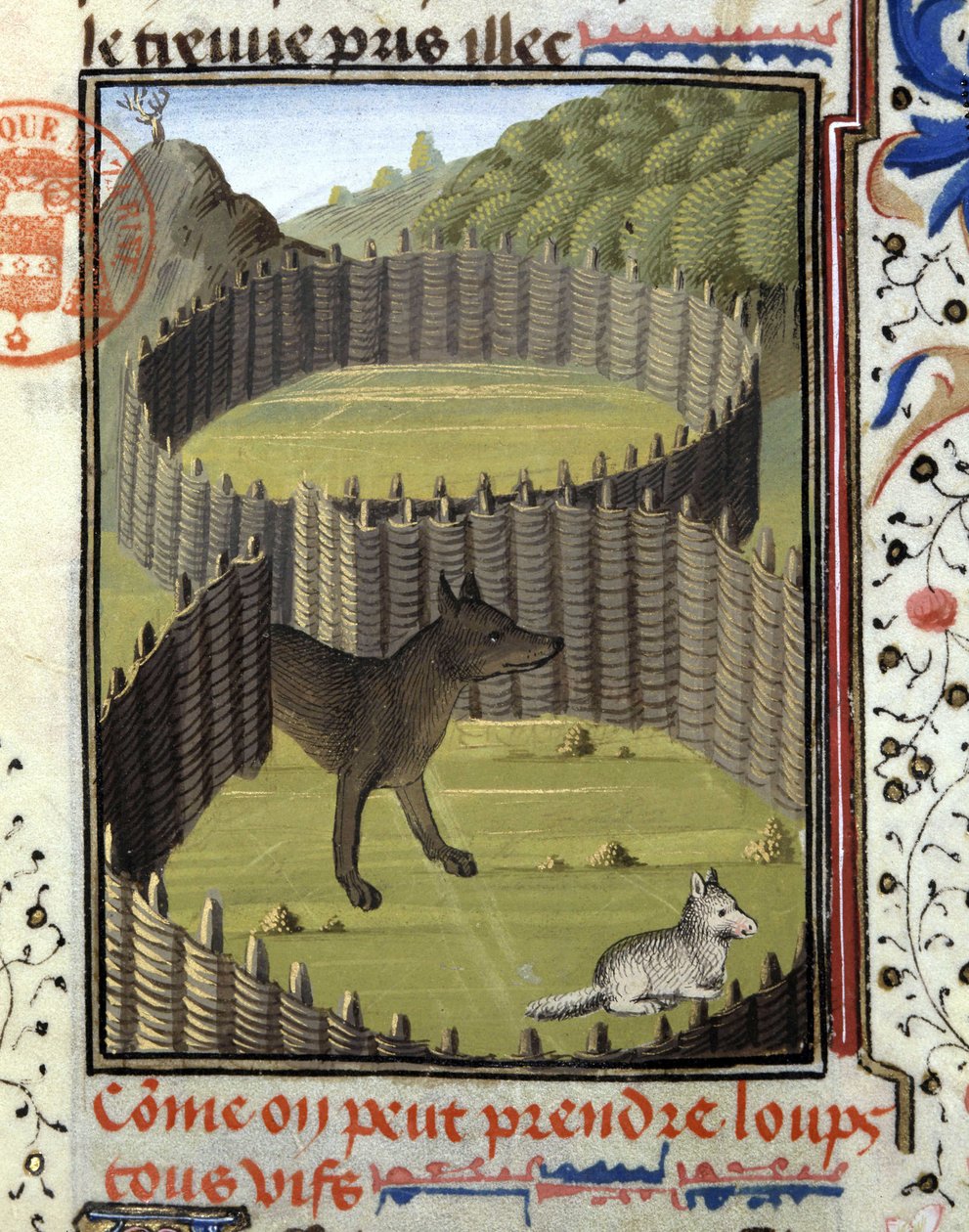 Piege en ulv - i "" Jagtbog af Gaston Phoebus, greve af Foix, Lord of Béarn"" af French School
