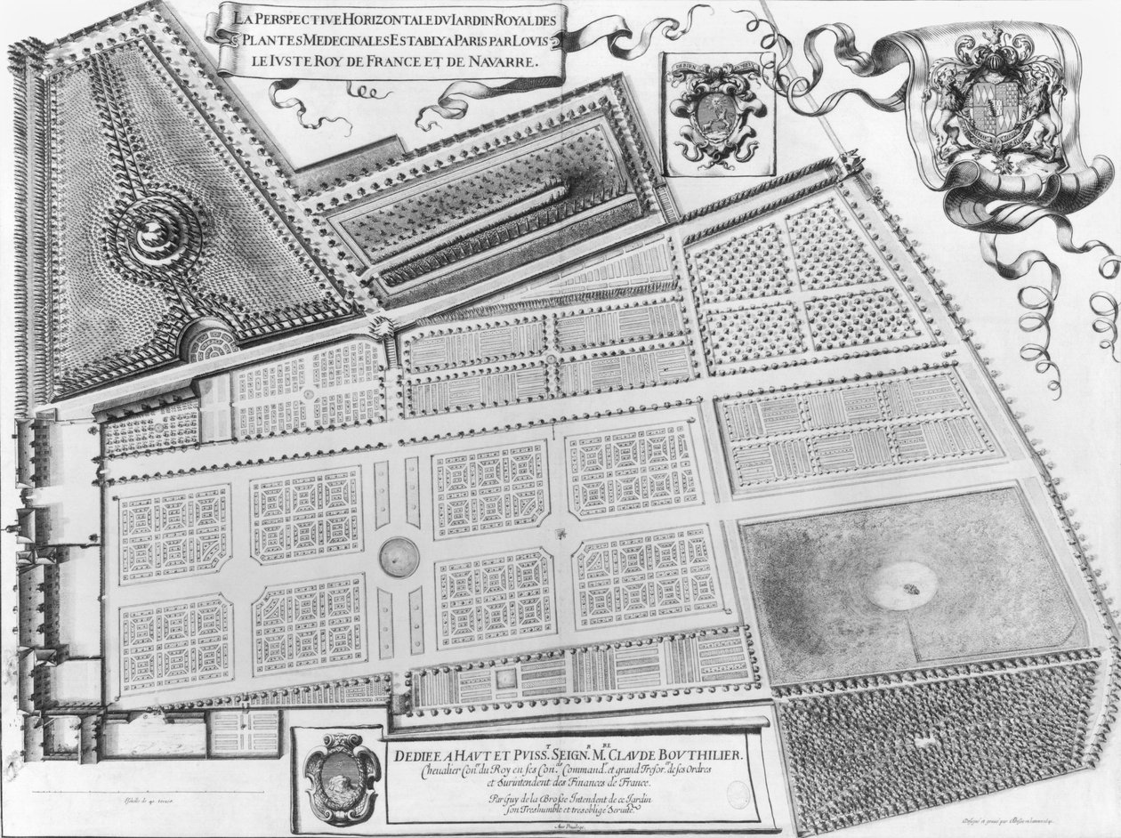 Plan over den kongelige have for lægeplanter i Paris, 1641 af French School