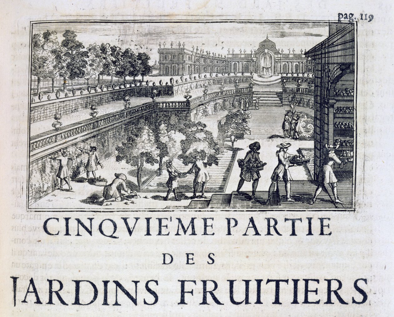 Plantning af frugttræer, fra Le Parfait Jardinier, eller Instruction pour les Jardins Fruitiers et Potager, af Jean de la Quintinye, udgivet 1695 af French School