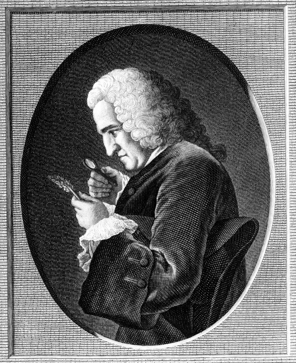 Portræt af Bernard de Jussieu (1699-1777) af French School