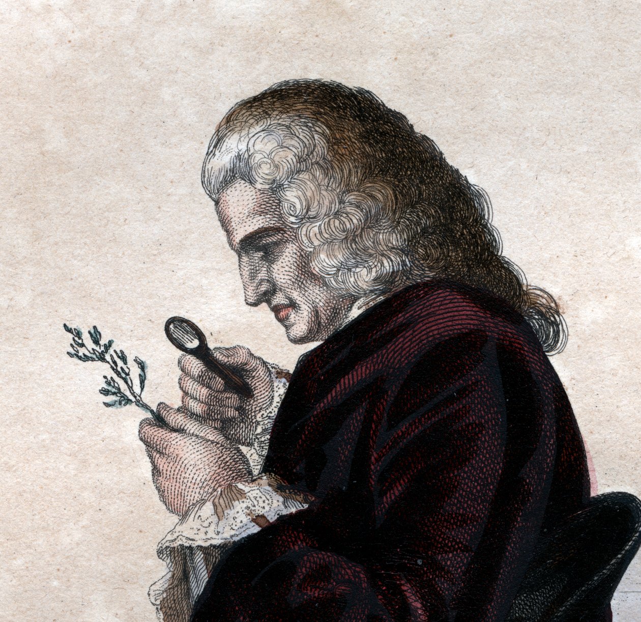 Portræt af Bernard de Jussieu (1699-1777), fransk naturforsker. af French School
