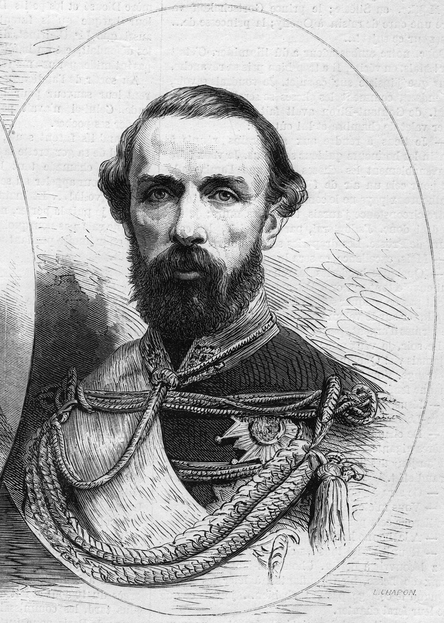 Portræt af Karl XV (Karl XV af French School