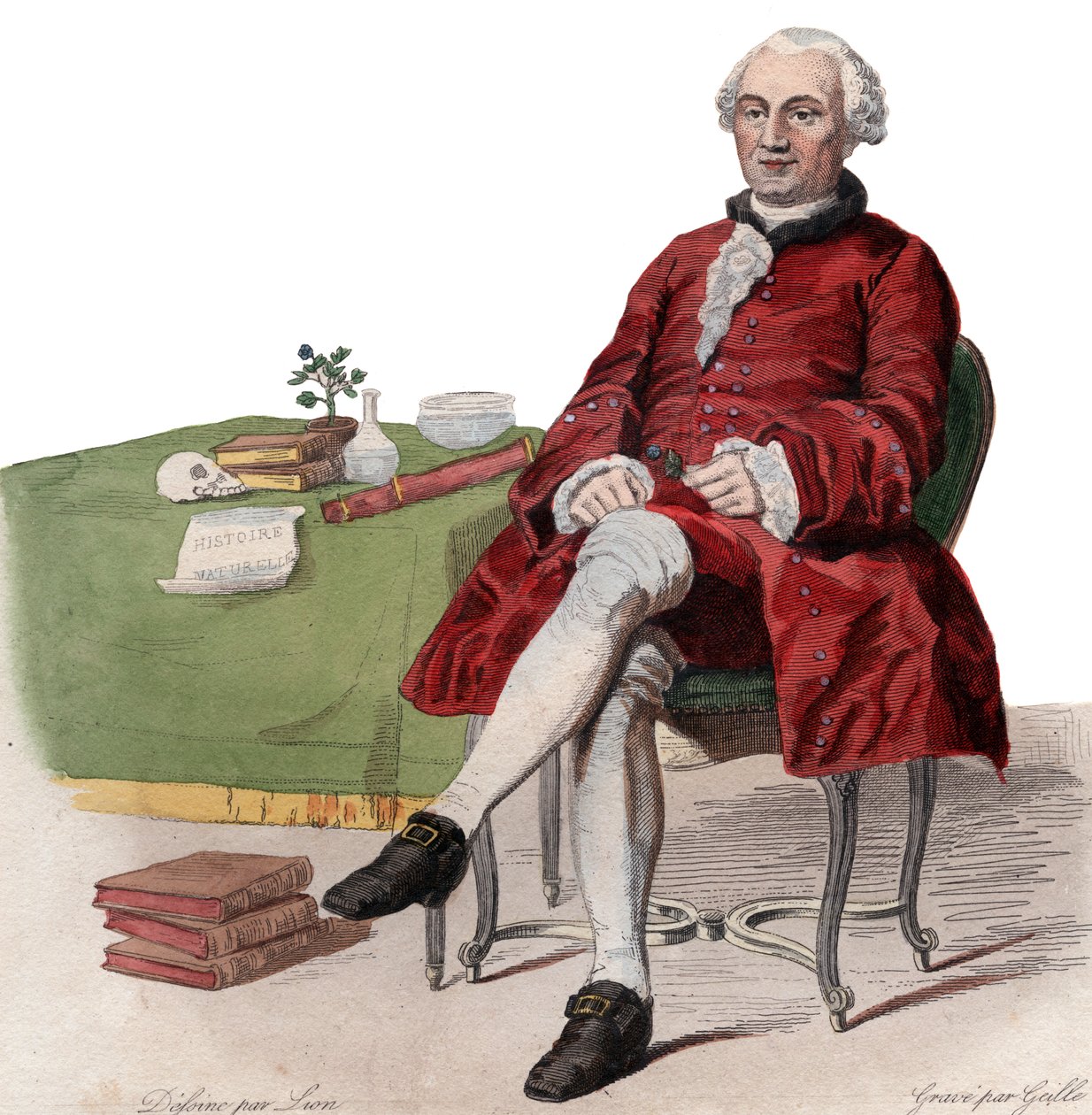 Portræt af Georges Louis Leclerc, Comte de Buffon (1707-1788), fransk naturforsker. af French School