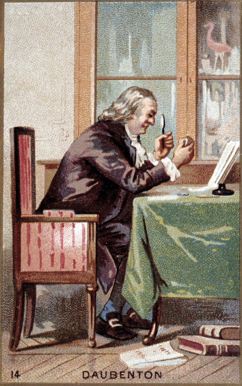 Portræt af Louis Jean Marie Daubenton (1716 - 1800), fransk naturforsker. af French School