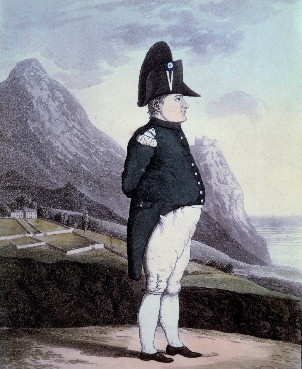 Portræt af Napoleon I (1769-1821) på øen Sainte Helene i maj 1815 Indgravering af det 19. århundredes Ile d