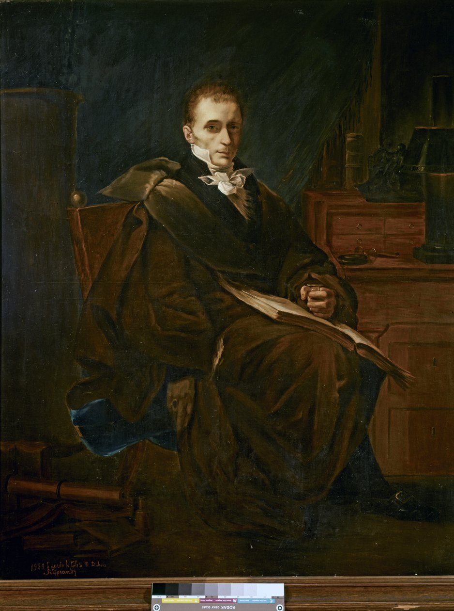 Portræt af René-Théophile-Hyacinthe Laennec (olie på lærred) af French School