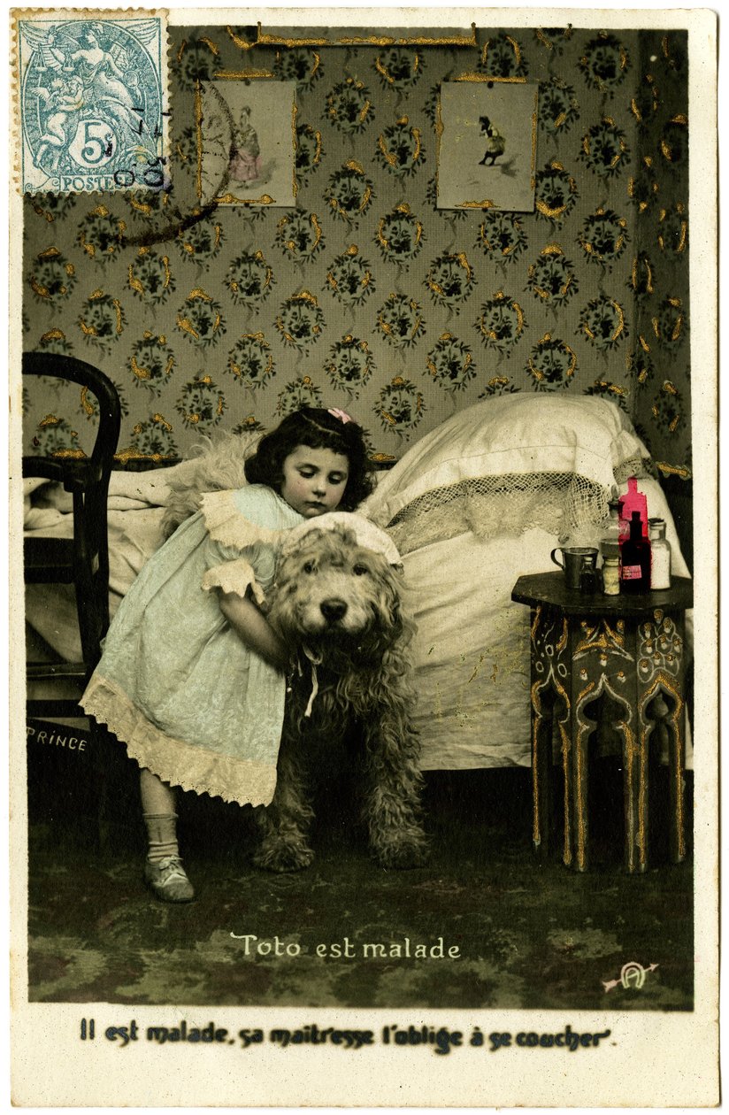 Postcard: Toto is sick, he is sick, his mistress forces him to go to bed, Princedani af French School