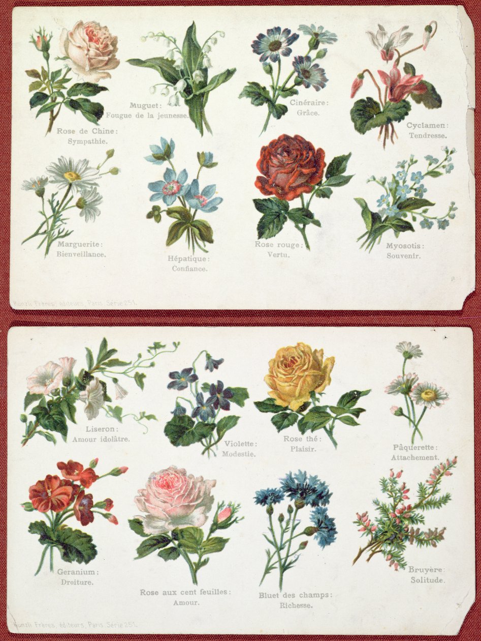 Postkort med blomsters sprog og betydning, ca. 1905 af French School