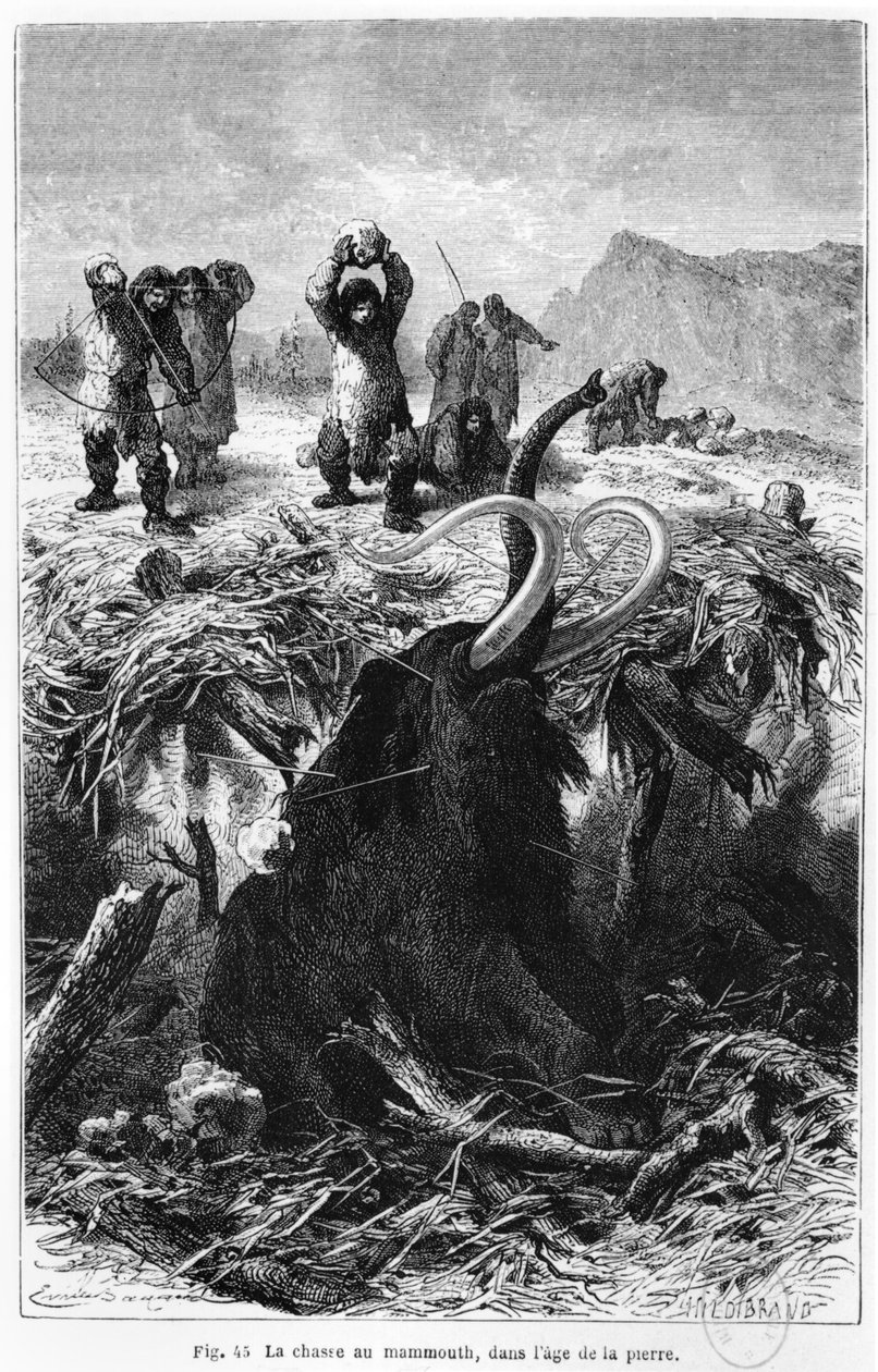 Forhistoriske mænd, der jager en mammut, illustration fra LHomme primitif af Louis Figuier, udgivet Hachette, Paris, 1870 af French School