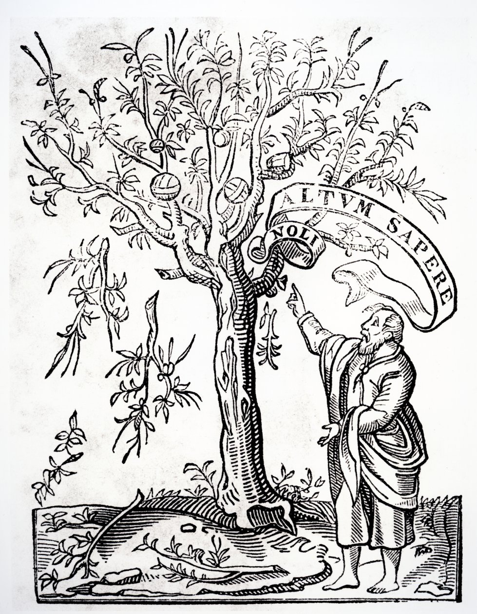 Robert Estiennes printeremblem, Paris, 1526 af French School