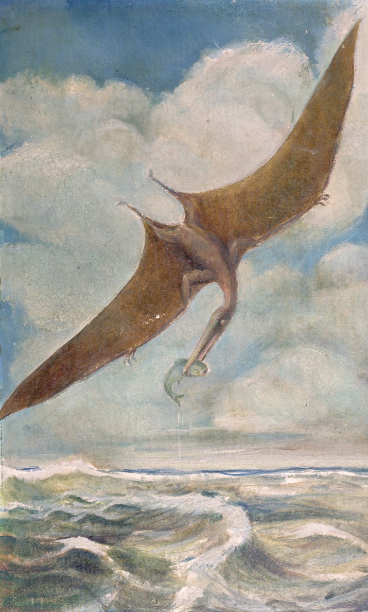 Pterodactyl fiskeri af French School