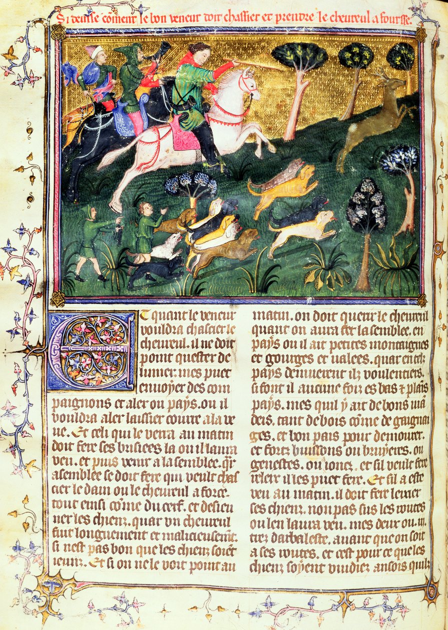 Forfølgelse af en rognbuk, fra Livre de la Chasse, original tekst skrevet af Gaston III, Comte de Foix Phebus le Chasseur (1331-91) Avignon, 1387-89 (gouache på pergament) af French School