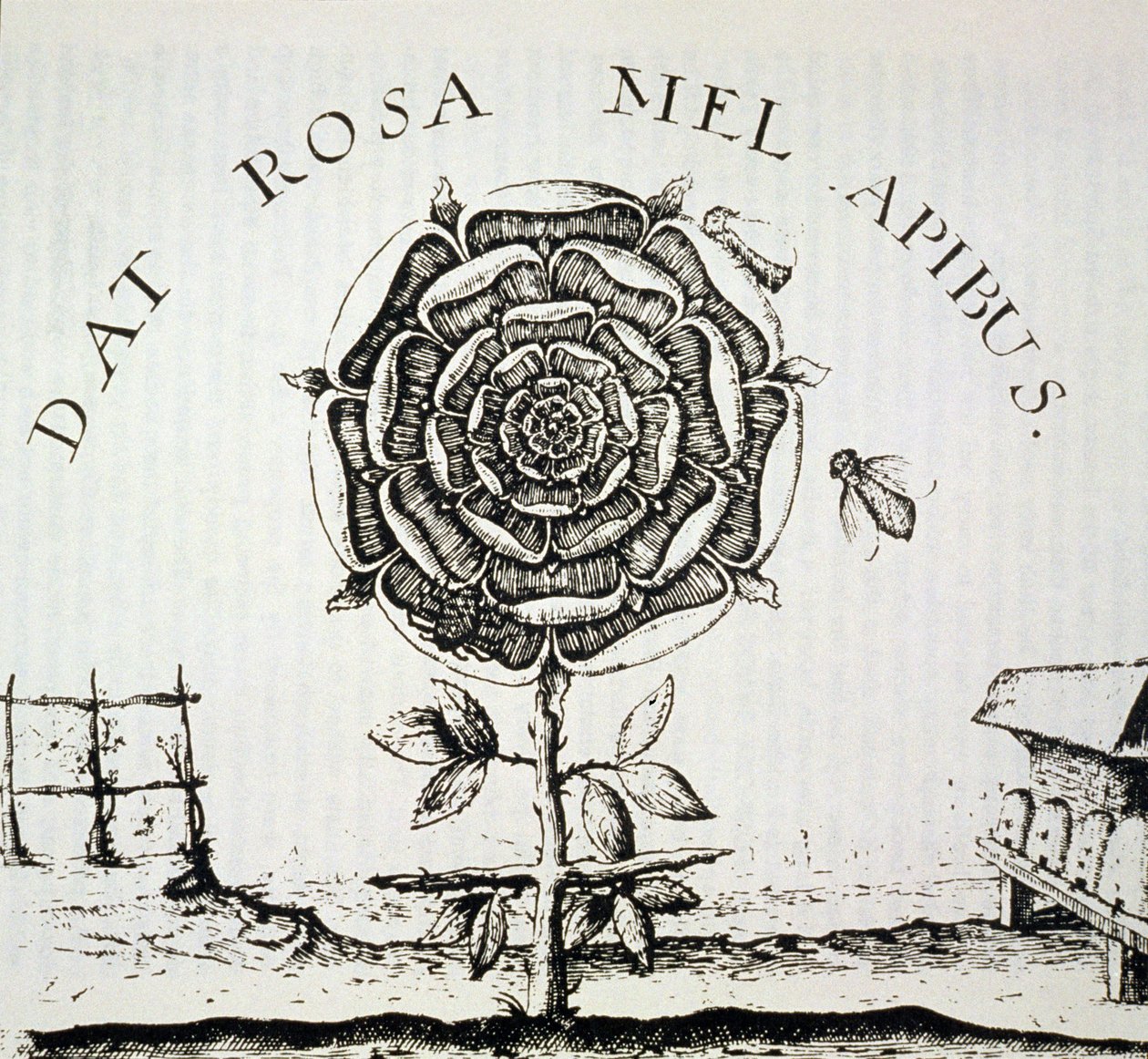 Rosicrucian Allegory, kopi af en gravering af Johann Theodore de Bry (ca. 1598), brugt i en History of Magic, udgivet sent i det 19. århundrede af French School