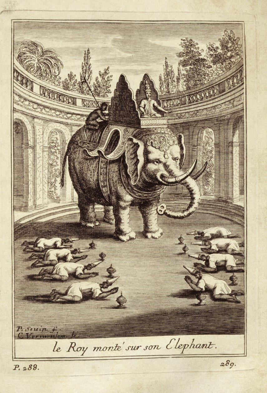 Kongelige elefanter, fra Voyage du Siam des Peres Jesuites af Guy Tachard, 1688 af French School