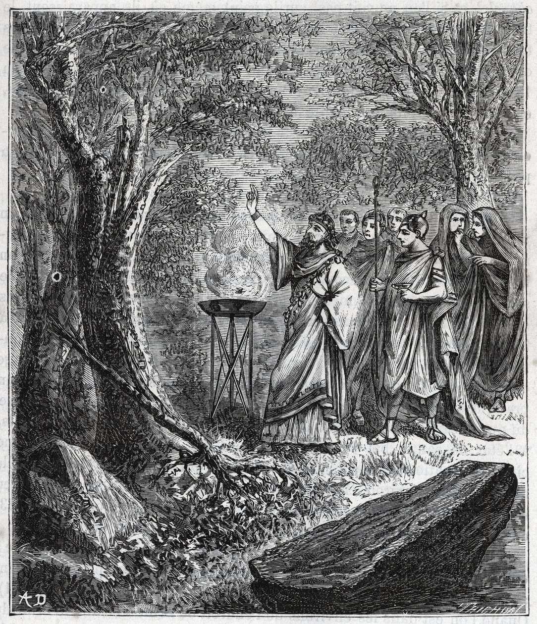 STRUFERTARI (fest i det gamle Rom for at rense de sprængte træer) - Indgravering i "" Videnskaber bragt til forståelse af alle - populær fysik og kemi"" af Alexis Clerc - Slutningen af det 19. århundrede. Privat samling. af French School
