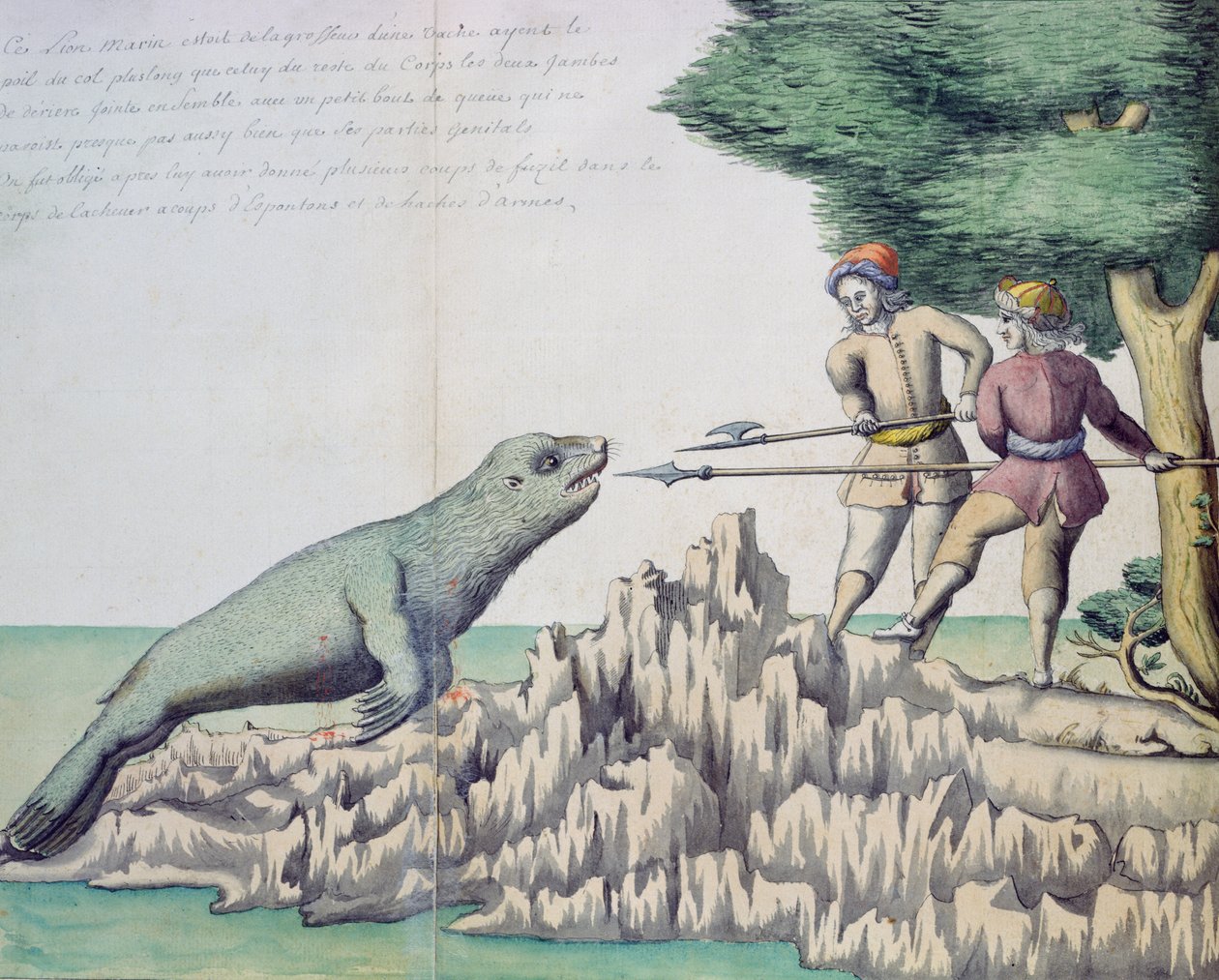 Søløve nær Magellan-strædet (wc på papir) af French School
