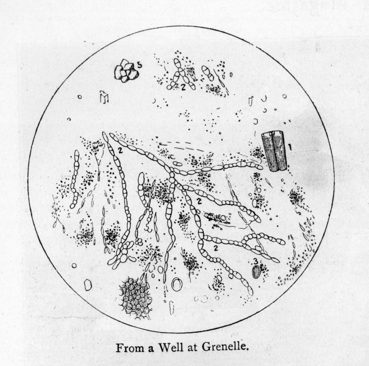 Sediment af vand fra en brønd ved Grenelle, i det 15. arrondissement i Paris af French School