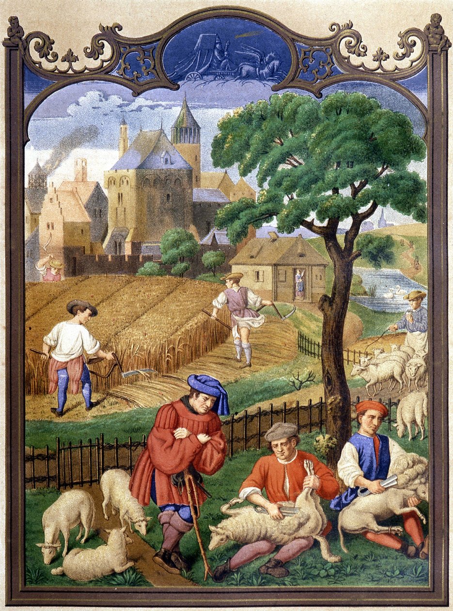 Fåreskæring og -høst - miniature, middelalder. af French School