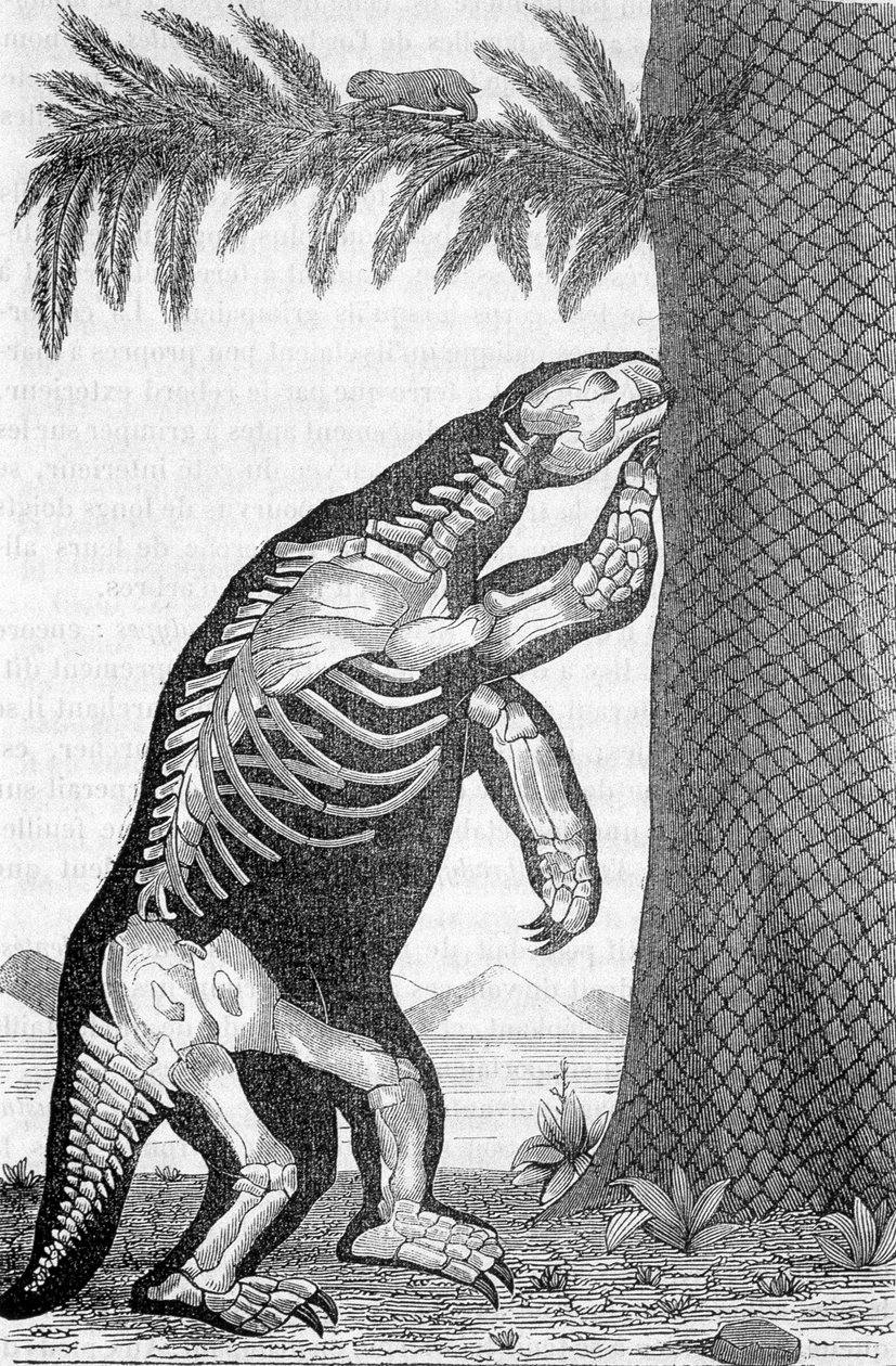 Skelet af megatherium - i "Verden før menneskets skabelse" af Camille Flammarion af French School