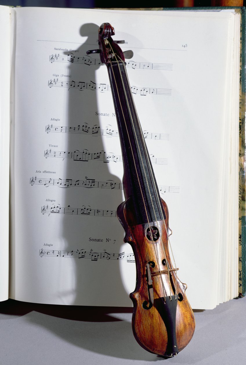 En dansemesters strengeinstrument, 1800-tallet (træ) af French School