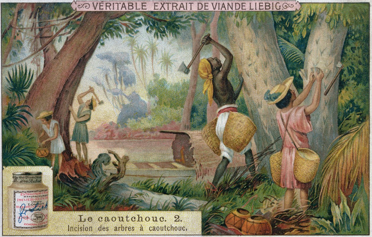 Tapping gummitræer, salgsfremmende reklamekort for Veritable Extrait de Viande Liebig, slutningen af det 19. århundrede af French School