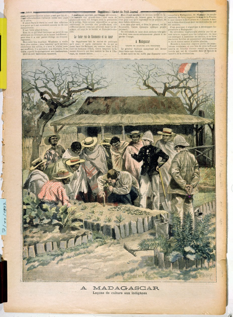 Undervisning i dyrkningsmetoder til de indfødte på Madagaskar, fra Le Petit Journal, 7. november 1896 af French School