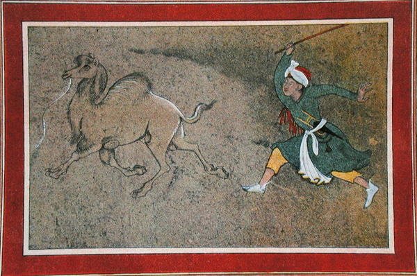 The Angry Camel Driver, illustration fra 