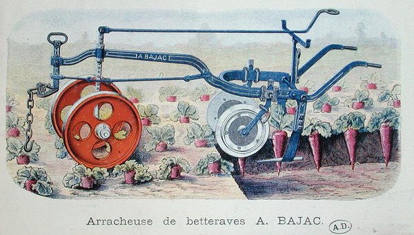 Bajac-maskinen til at løfte rødbeder, ca. 1900 (farvegravering) af French School