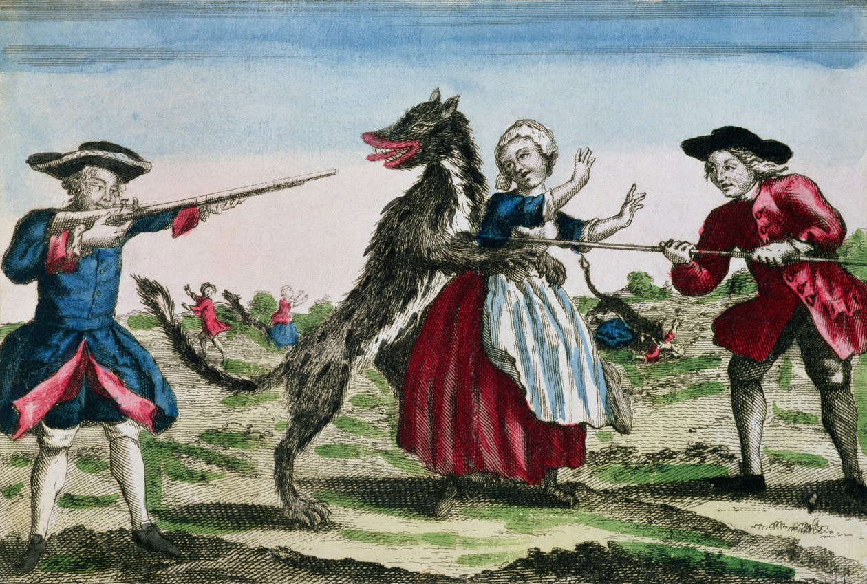 The Beast of Gevaudan, udgivet af Basset, 1764 (farvegravering) af French School