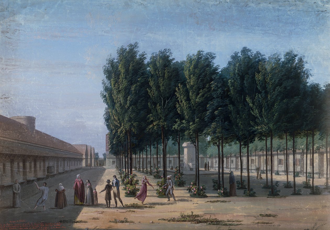 Bicetre-asylet i Paris af French School
