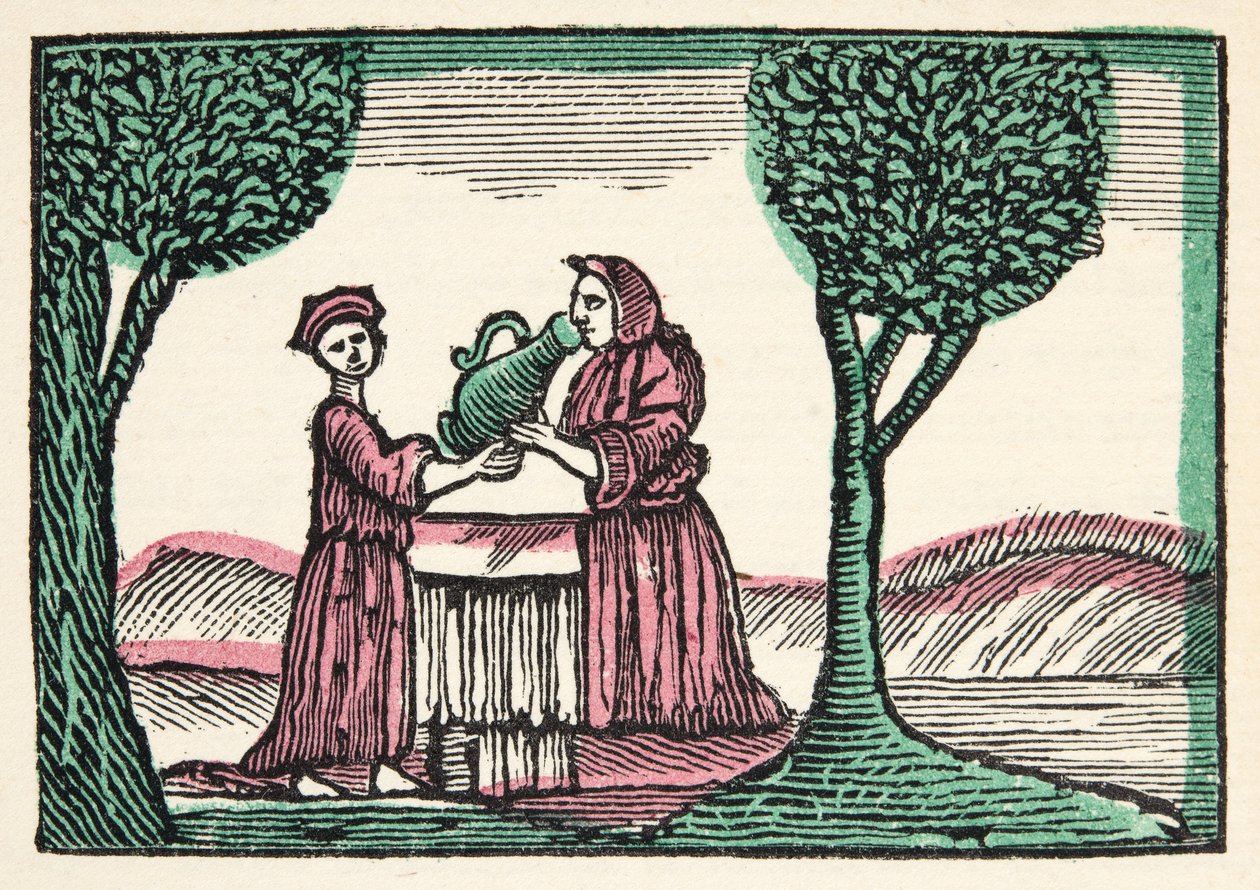 Feen fra Histories or Tales of Past Times told by Mother Goose, With Morals, af M Perrault, pub. 1925 (håndkoloreret træsnit) af French School
