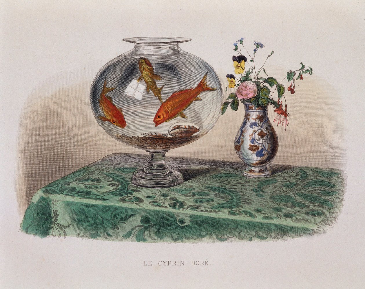 Guldfisken (guldfisk i deres krukke) - i "" Lacepede"" af French School
