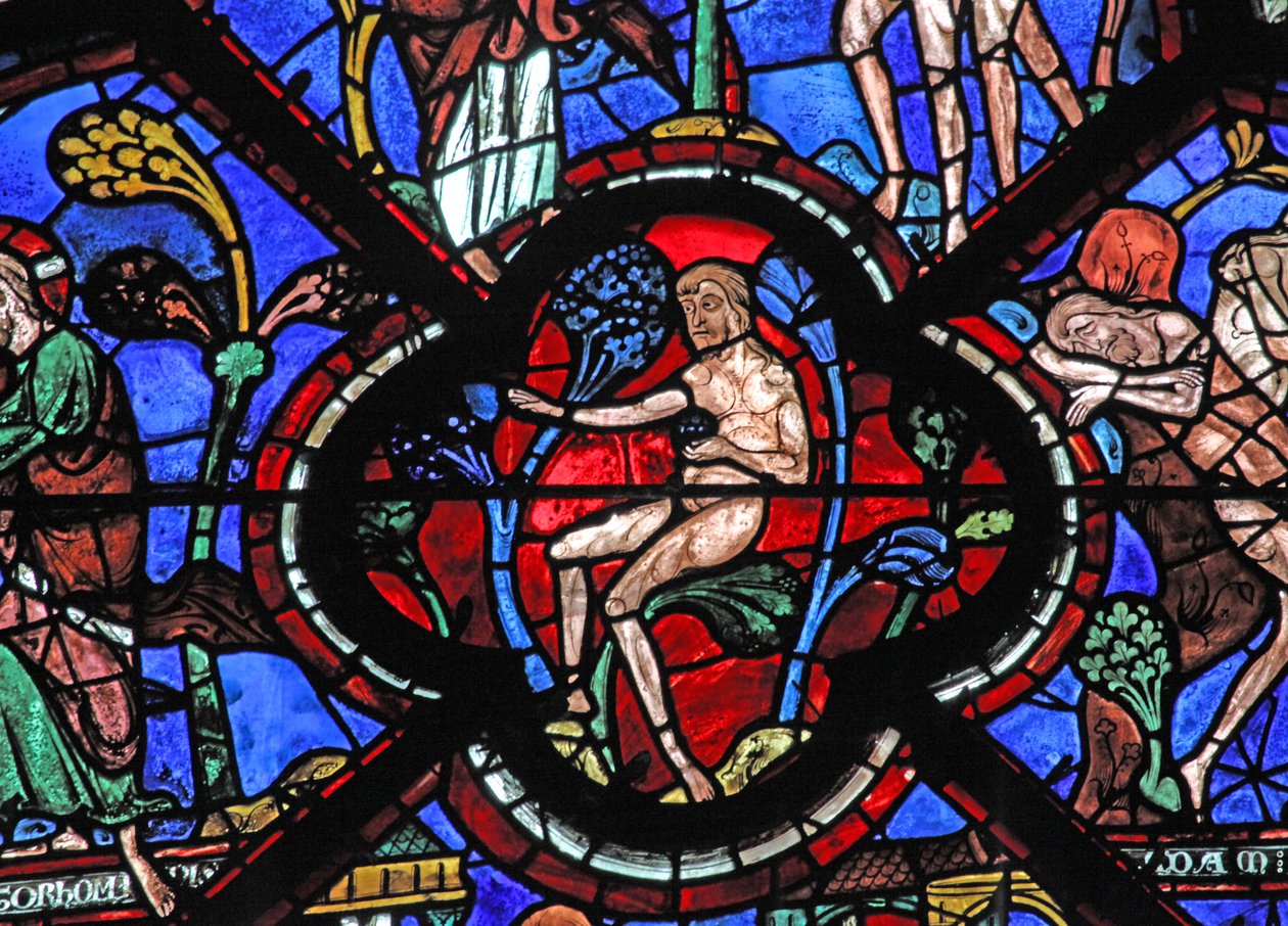 Det barmhjertige samaritanske vindue: Adam i Edens have (w44) af French School